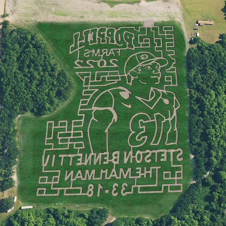 A Fall Maze that Delivers